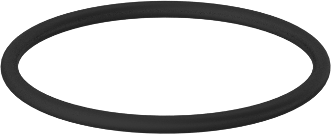 Kimyasallara Dayanıklı Viton® Floroelastomer O-Ring, 1/16 Kesirli Genişlik, Dash No. 025
