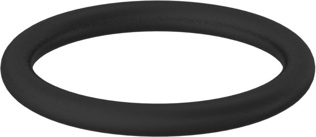 Kimyasallara Dayanıklı Viton® Floroelastomer O-Ring, 3/32 Kesirli Genişlik, Dash No. 117