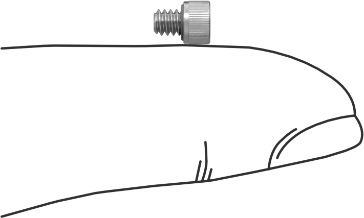 Sızdırmaz Soket Başlı Vida, Buna-N O-Ringli 18-8 Paslanmaz Çelik, 4-40 Diş, 1/8" Uzunluk