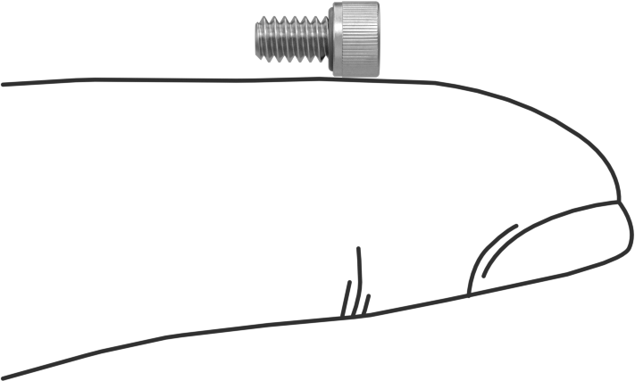 Sızdırmaz Soket Başlı Vida, 18-8 Paslanmaz Çelik, Viton® O-Ring ile, 4-40 Diş, 3/16" Uzunluk