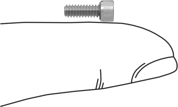Sızdırmaz Soket Başlı Vida, 18-8 Paslanmaz Çelik, Viton® O-Ring ile, 4-40 Diş, 5/16" Uzunluk