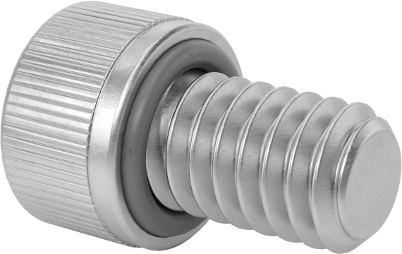 Sızdırmaz Soket Başlı Vida, 18-8 Paslanmaz Çelik, Viton® O-Ring ile, 8-32 Diş, 1/4" Uzunluk