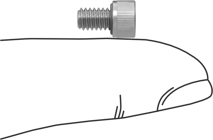 Sızdırmaz Soket Başlı Vida, 18-8 Paslanmaz Çelik, Viton® O-Ring ile, 8-32 Diş, 1/4" Uzunluk