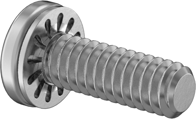 18-8 Paslanmaz Çelik Silindir Başlı Vida, İç Dişli Pullu, 1/4"-20 Diş Boyutu, 3/4" Uzunluk