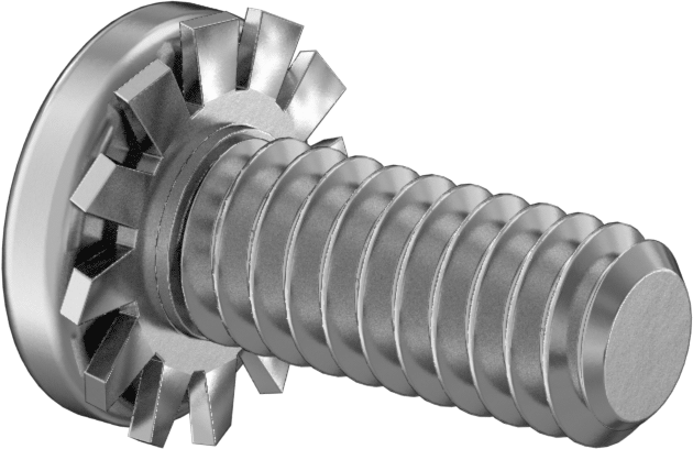 18-8 Paslanmaz Çelik Silindir Başlı Vida, Dış Dişli Pul ile, 1/4"-20 Diş Boyutu, 5/8" Uzunluk