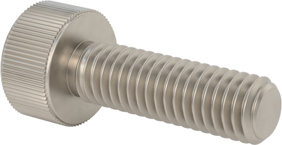 Titanyum Soket Başlı Vida, M3 x 0,50 mm Dişli Boyutu, 10 mm Uzunluk