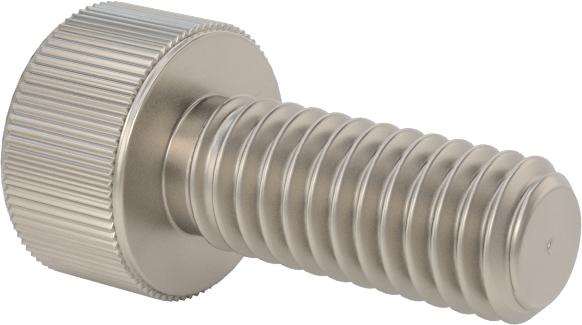 Titanyum Soket Başlı Vida, M4 x 0,70 mm Diş Boyutu, 10 mm Uzunluk
