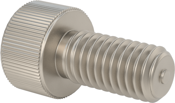 Titanyum Soket Başlı Vida, M5 x 0,80 mm Diş Boyutu, 10 mm Uzunluk
