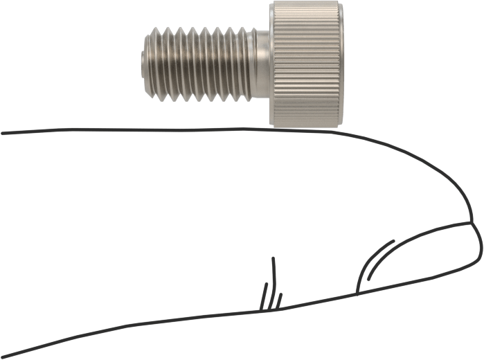Titanyum Soket Başlı Vida, M6 x 1 mm Diş Boyutu, 10 mm Uzunluk