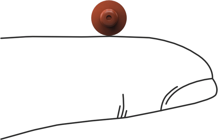 İtme Tipi Tamponlar, 1/8" İç Çap için, 3/32" Gövde Yüksekliği, 1/4" OD, Silikon
