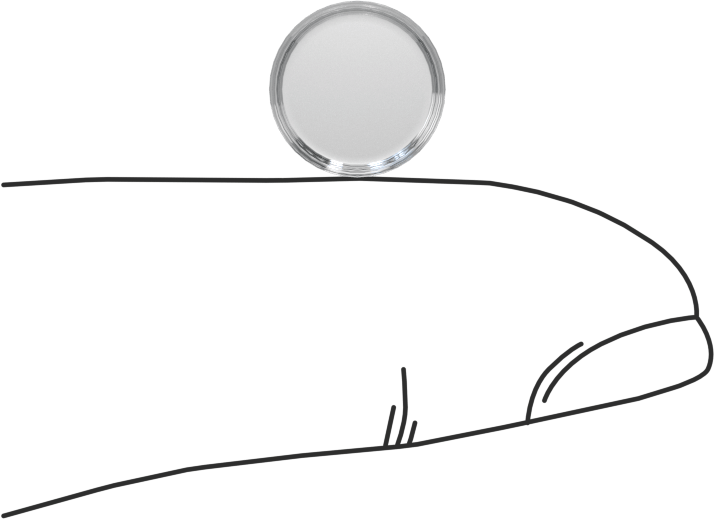 Yapışkan Sırtlı Poliüretan Kauçuk Tamponlar, 3/8" OD, 1/8" Yüksek, Durometer 50A, Şeffaf