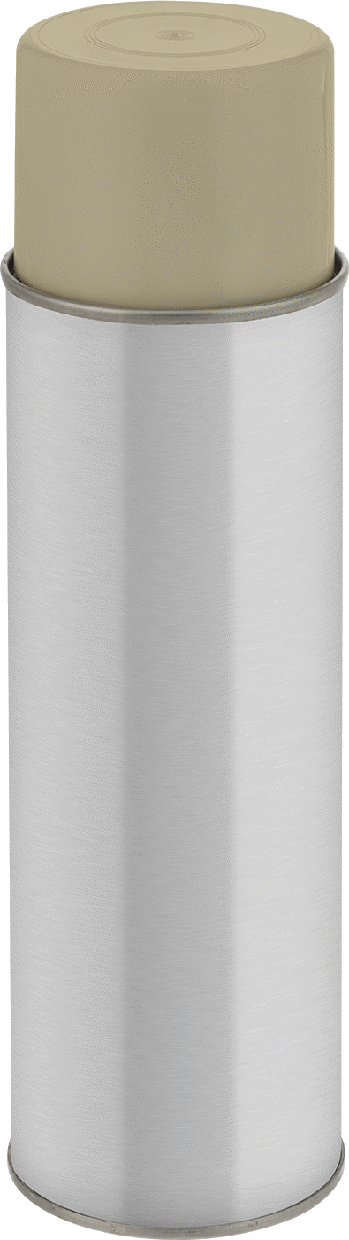 Tavan Karoları için Boya, Eski Beyaz, 16 oz. Aerosol Kutusu