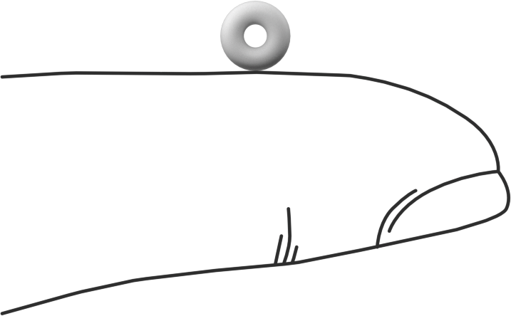 Ultra Kimyasal Dirençli Sert PTFE O-Ring, 1/16 Kesirli Genişlik, Dash Numarası 004