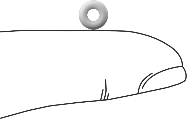 Ultra Kimyasal Dirençli Sert PTFE O-Ring, 1/16 Kesirli Genişlik, Dash Numarası 005