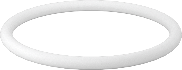 Ultra Kimyasal Dirençli Sert PTFE O-Ring, 1/16 Kesirli Genişlik, Dash Numarası 021