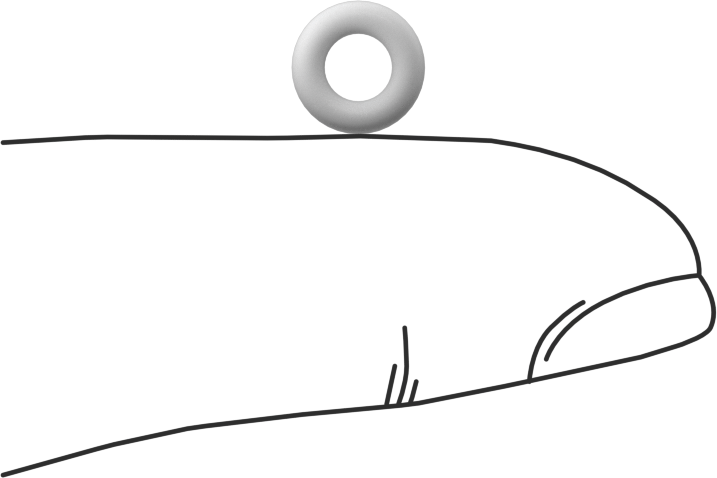 Ultra Kimyasal Dirençli Sert PTFE O-Ring, 1/16 Kesirli Genişlik, Dash Numarası 007