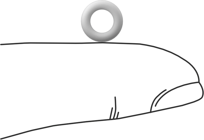 Ultra Kimyasal Dirençli Sert PTFE O-Ring, 1/16 Kesirli Genişlik, Dash Numarası 008