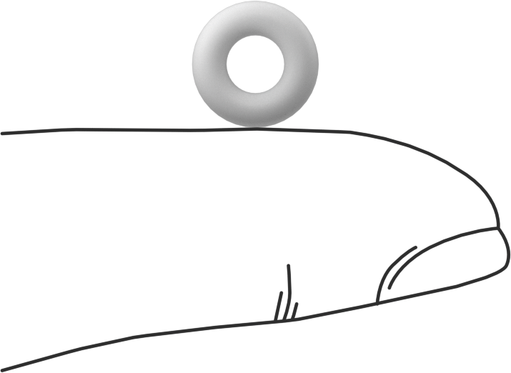 Ultra Kimyasal Dirençli Sert PTFE O-Ring, 3/32 Kesirli Genişlik, Dash Numarası 106