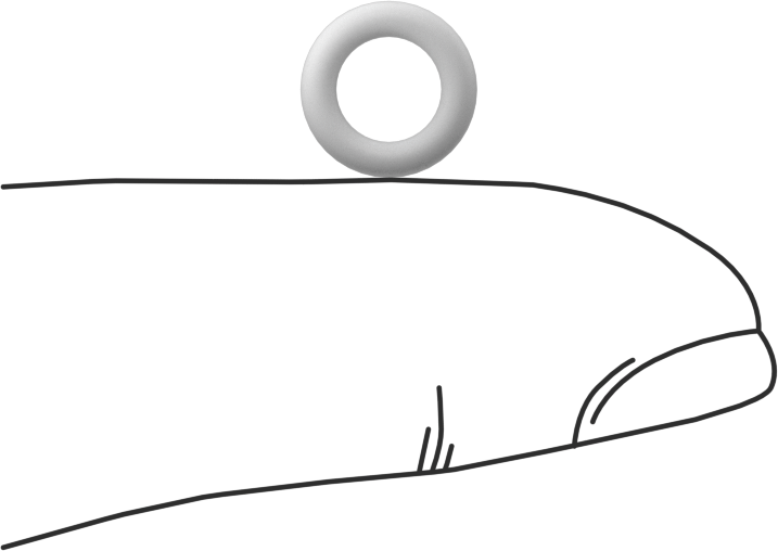 Ultra Kimyasal Dirençli Sert PTFE O-Ring, 1/16 Kesirli Genişlik, Dash Numarası 009