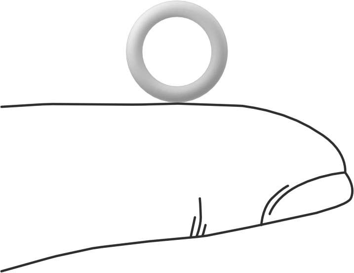 Ultra Kimyasal Dirençli Sert PTFE O-Ring, 1/16 Kesirli Genişlik, Dash Numarası 011