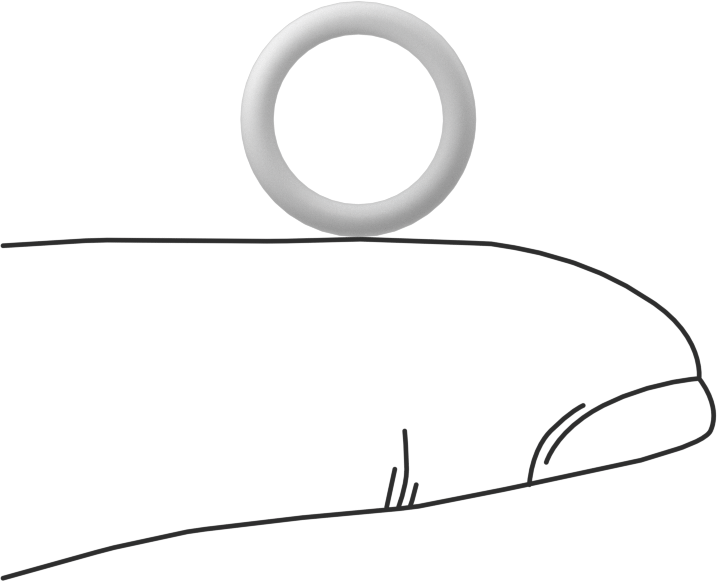 Ultra Kimyasal Dirençli Sert PTFE O-Ring, 1/16 Kesirli Genişlik, Dash Numarası 012