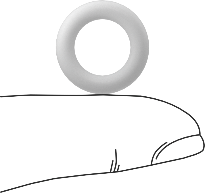 Ultra Kimyasal Dirençli Sert PTFE O-Ring, 1/8 Kesirli Genişlik, Dash No. 205