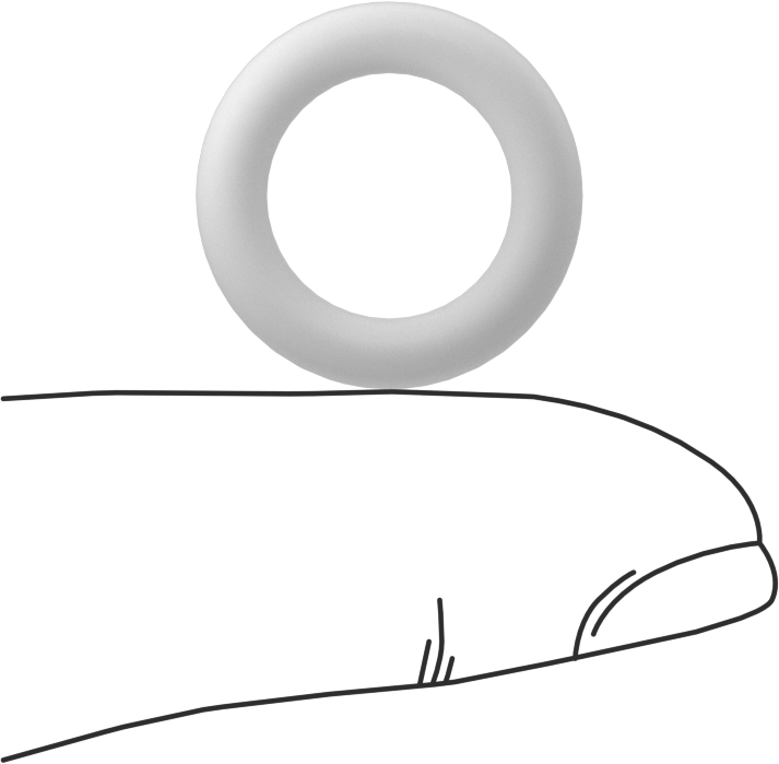 Ultra Kimyasal Dirençli Sert PTFE O-Ring, 1/8 Kesirli Genişlik, Dash No. 206