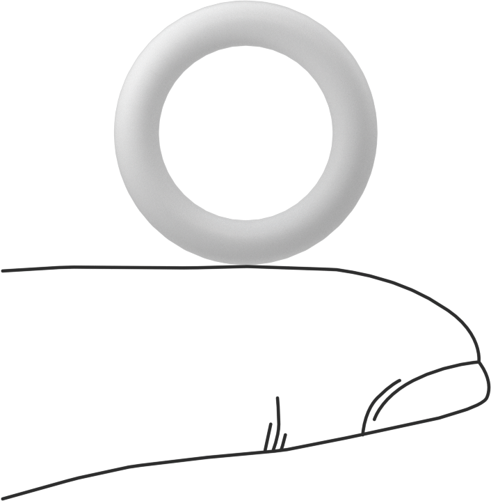 Ultra Kimyasal Dirençli Sert PTFE O-Ring, 1/8 Kesirli Genişlik, Dash No. 207