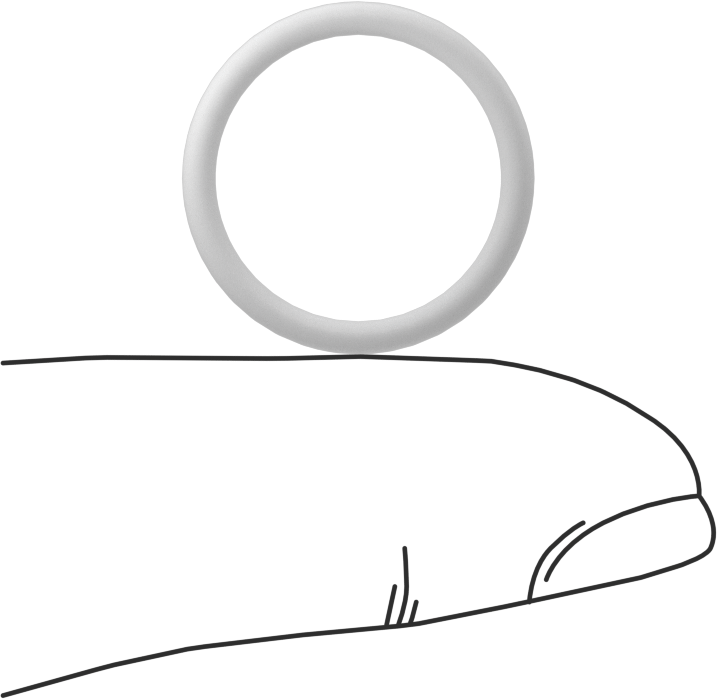 Ultra Kimyasal Dirençli Sert PTFE O-Ring, 1/16 Kesirli Genişlik, Dash Numarası 016