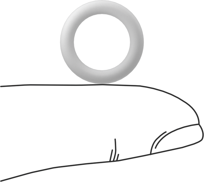 Ultra Kimyasal Dirençli Sert PTFE O-Ring, 3/32 Kesirli Genişlik, Dash No. 111