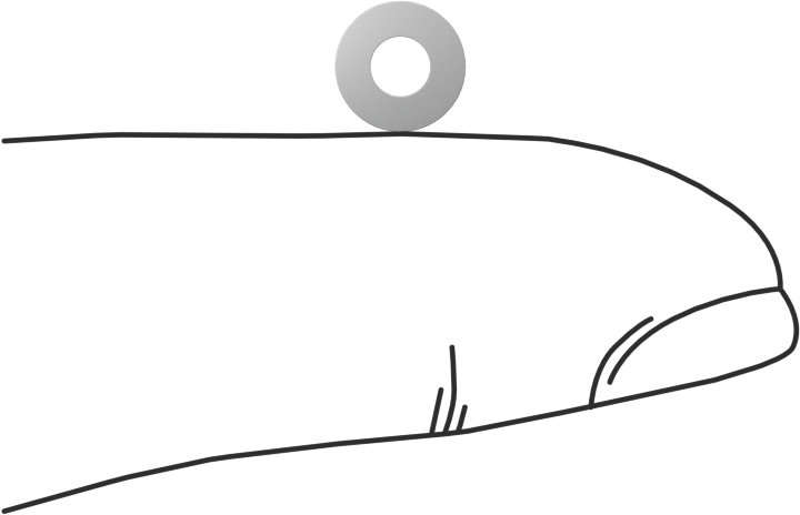 PTFE Plastik Pul, 3 Numaralı Vida Boyutu için, 0.116" ID, 0.250" OD