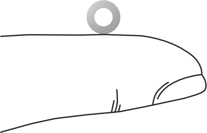 PTFE Plastik Pul, 4 Numaralı Vida için, 0.137" ID, 0.250" OD, 0,008“-0,012” Kalınlık