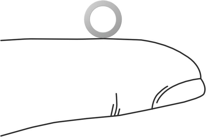 PTFE Plastik Pul, 8 Numaralı Vida için, 0.197" ID, 0.280" OD, 0,045“-0,055” Kalınlık