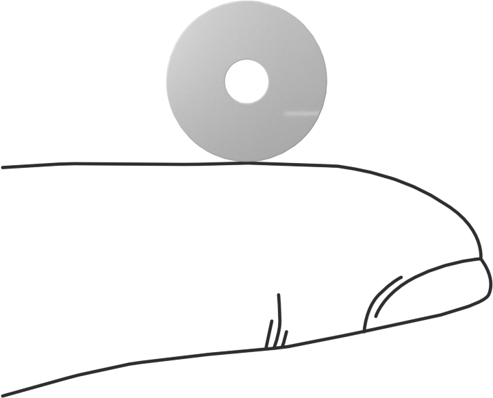 PTFE Plastik Pul, 5 numaralı vida boyutu için, 0.137" ID, 0.500" OD