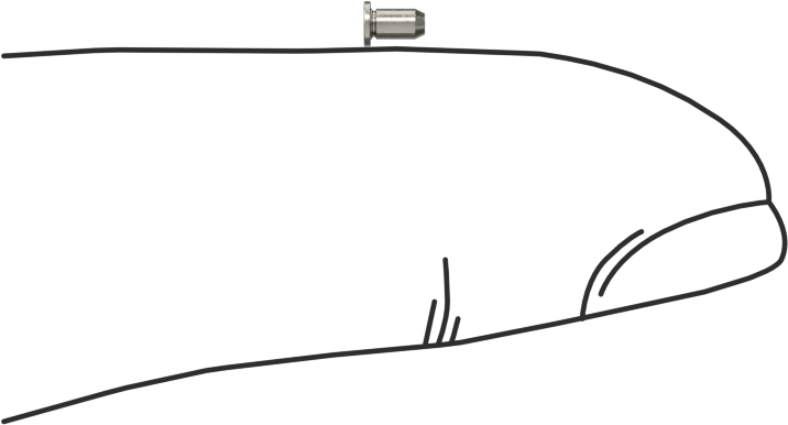 Sabit Pimler, A286 Paslanmaz Çelik, 1,500 mm Çap, 3 mm Uzunluk, Mpp-1.5mm-3