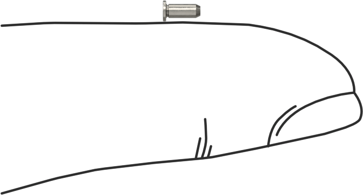 Sabit Pimler, A286 Paslanmaz Çelik, 1,500 mm Çap, 4 mm Uzunluk, Mpp-1.5mm-4