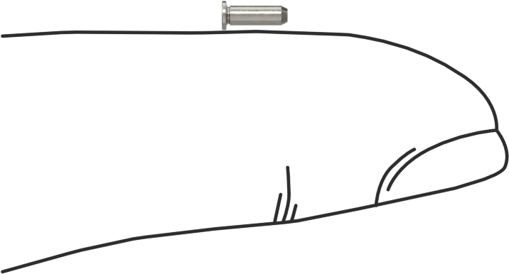 Sabit Pimler, A286 Paslanmaz Çelik, 1,500 mm Çap, 5 mm Uzunluk, Mpp-1.5mm-5