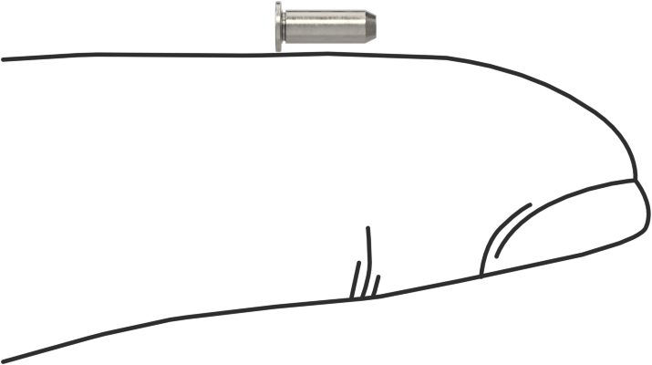 Sabit Pimler, A286 Paslanmaz Çelik, 2 mm Çap, 6 mm Uzunluk, Mpp-2mm-6