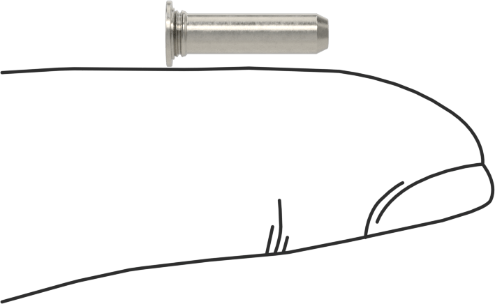 Sabit Pimler, 18-8 Paslanmaz Çelik, 1/8" Çap, 1/2" Uzunluk, Tps-125-8