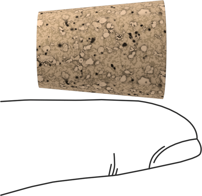 Mantar Konik Tapalar, Anma Ölçüsü 6, 5/8“ ila 45/64” İç Çap için