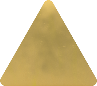 9566N113