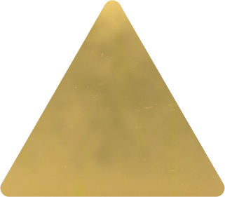 9566N99