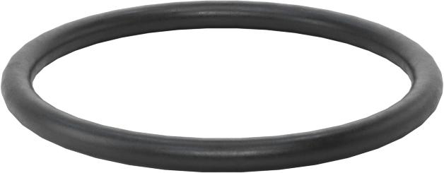 Ultra Kimyasal Dayanıklı Dupont Kalrez 4079 O-Ring, 1/16 Kesirli Genişlik, Dash Numarası 020