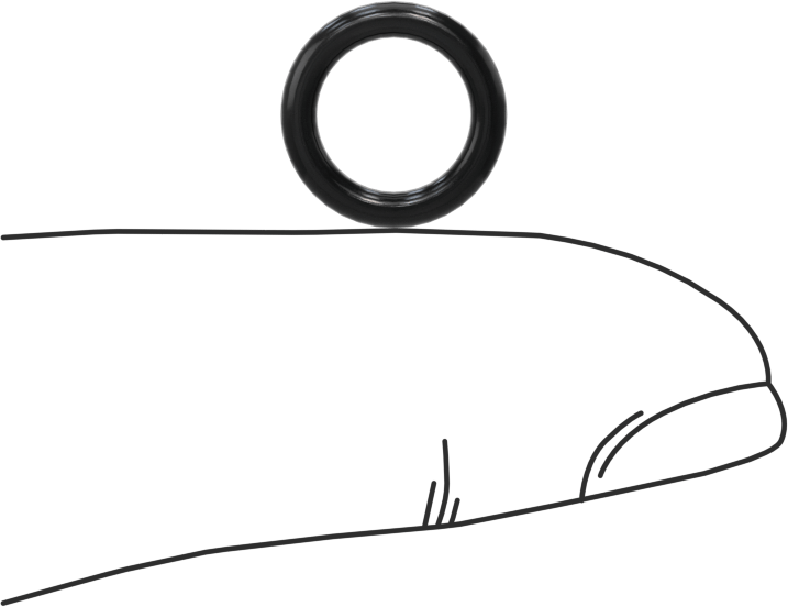 Ultra Kimyasal Dayanıklı Dupont Kalrez 4079 O-Ring, 1/16 Kesirli Genişlik, Dash Numarası 011