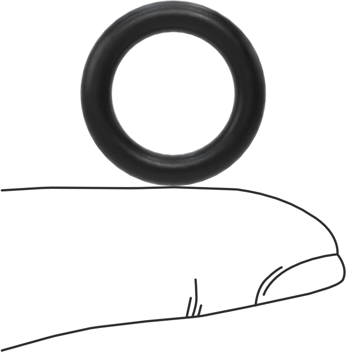 Ultra Kimyasal Dayanıklı Dupont Kalrez 4079 O-Ring, 1/8 Kesirli Genişlik, Dash No. 207
