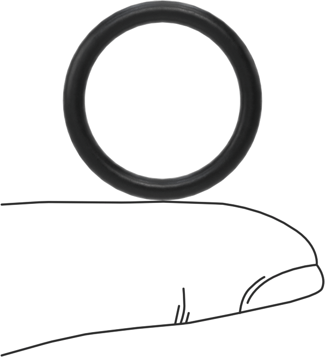 Ultra Kimyasal Dayanıklı Dupont Kalrez 4079 O-Ring, 3/32 Kesirli Genişlik, Dash Numarası 116
