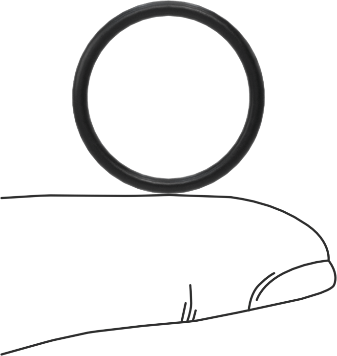 Ultra Kimyasal Dayanıklı Dupont Kalrez 4079 O-Ring, 1/16 Kesirli Genişlik, Dash Numarası 018