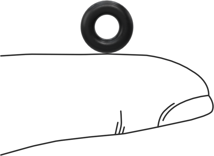 Ultra Kimyasal Dayanıklı Dupont Kalrez 4079 O-Ring, 3/32 Kesirli Genişlik, Dash Numarası 106