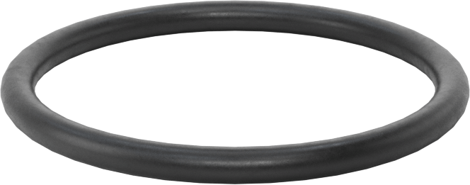 Ultra Kimyasal Dayanıklı Dupont Kalrez 4079 O-Ring, 3/32 Kesirli Genişlik, Dash Numarası 124