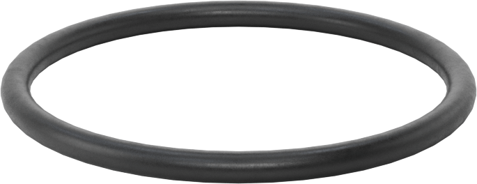 Ultra Kimyasal Dayanıklı Dupont Kalrez 4079 O-Ring, 3/32 Kesirli Genişlik, Dash Numarası 128